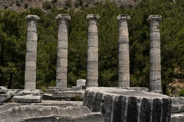 Priene, Milet, Didim (PMD) VIP Turu